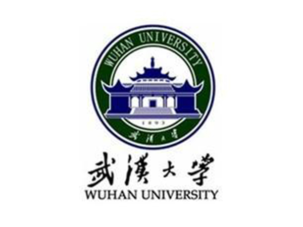 武汉大学